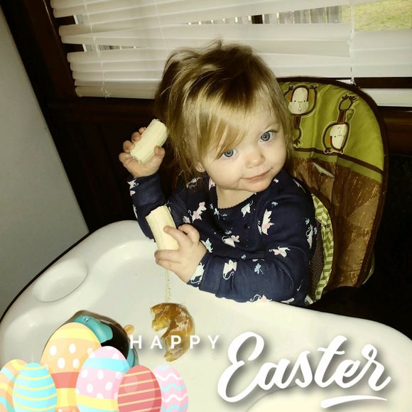 Meet your Posher, Tommy - Picture 1 of 1